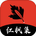 已满十八岁在线播放电视剧大全软件APP应用